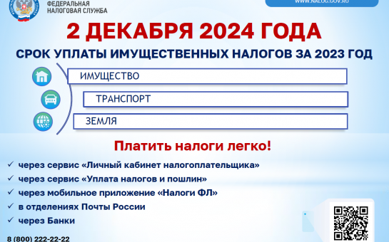 Срок уплаты имущественных налогов 